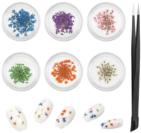patinadrift 6 Boxen Nail Art Flowers Trockenblumen für Nägel Nageldekorationen Getrocknete Blumen Nägel Art Flowers Nagel deko mit Pinzette