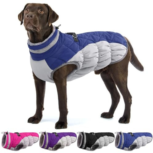 Hunde-Winterjacke, gemütlich, reflektierend, wasserdicht, winddicht, warm, Haustier-Kleidung, bequemes kaltes Wetter, Fleece-Bekleidung, Outfits mit Reißverschluss, Welpen, Spaziergänge und Wandern