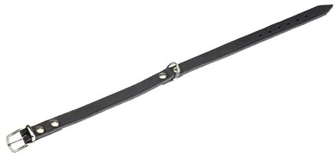Karlie Halsband Rondo, genietet L: 32 cm B: 10 mm schwarz