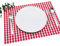 FILU Tischset 4 Stück Rot/Weiß kariert (Farbe und Design wählbar) 33 x 45 cm - hochwertig gefertigte Platzsets aus 100% Baumwolle im skandinavischen Landhaus-Stil