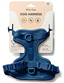 Wild One Harness 2.0 - Large - Blue