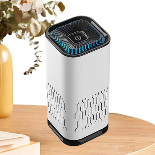 Purificateur d'air de Voiture avec Filtre Hepa, système de Filtration en 3 étapes, purificateur d'air de Voyage Portable, purificateur d'air ionisant pour Bureau, Voiture, Animaux domestiques Samuliy