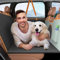 oneisall Back Seat Extender for Dogs, Hard Bottom Dog Car Seat Cover for Back Seat with Non-Slip Sponge, Waterproof & Machine Washable, for SUVs, Sedans, Small Pickup Trucks