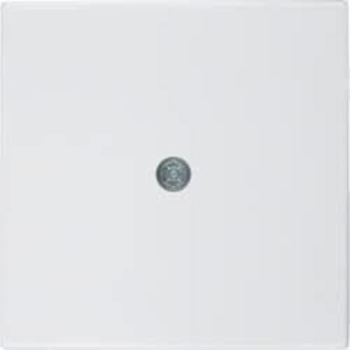 Hager Zentralplatte Schraube S1 Brillo-BP