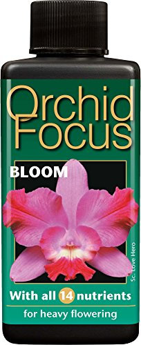 Engrais Liquide concentré de première qualité Orchid Focus Floraison 100 ML