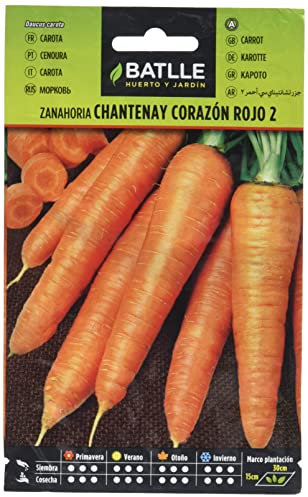Semillas Batlle Zanahoria CHANTENAY c.rojo 2