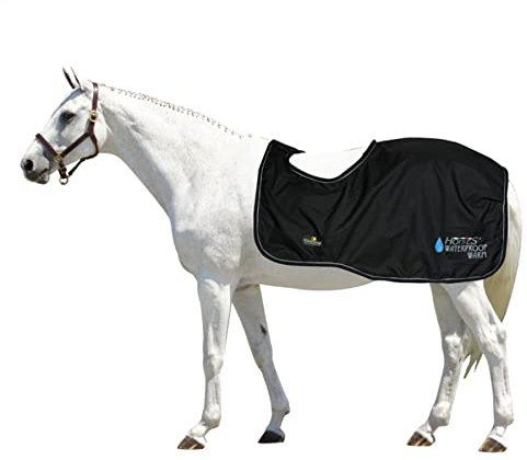 Horses, Pferdedecken Horses Waterproof Warm, Wasserdicht, Weich, Bequem und Warm, Langlebig, Schwarz, 145 cm