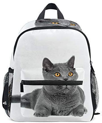 Kinderrucksack Britische Katze Kindergarten Kindergartentasche für Kleinkinder Mädchen Jungen