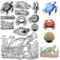craspire Klare Stempel Mit Meerestieren, Meeresorganismus, Schildkröte, Krabbe, Garnelen, Jakobsmuschel, Wiederverwendbar, Retro-Stempel, Transparenter Silikon-Gummistempel Für Journaling