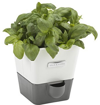 Cole & Mason H105249 Burwell Vaso Autoirrigante per Erbe Aromatiche per Interni Singolo, Bianco, Grigio, Con Serbatoio dell'Acqua, Perfetto per Davanzali e Cucina, Acciaio inossidabile, Per 1 Pentola