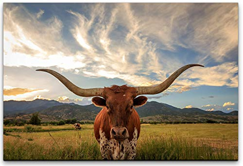 bestforhome 100x70cm Leinwandbild Texas Longhorn Rind von vorn fotografiert Leinwand auf Holzrahmen