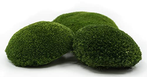 Kugelmoos, Ballenmoos Moos konserviert in 3 versch. Farben, echtes haltbares Naturprodukt zum Moosbild basteln, deckt 30x30cm Fläche - 0,10m² (Naturgrün)