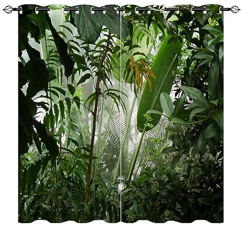 YUANZU Mistiger Dschungel Vorhänge Natur Regenwald Szene Ösen Gardinen mit Blickdichte Vorhang Kälteschutz Blackout Curtain Wohnzimmer Schlafzimmer Verdunkelung Fenster, 2 Stück, H 260 x B 140 cm