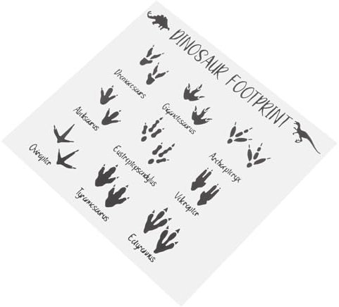 Angoily 1 Blatt Dinosaurier-Fußabdrücke Wandaufkleber Aufkleber Jungen Dino-Füße Spuren Pfoten Drucke Kinderzimmer-Dekorationen Baby-Schlafzimmer Spielzimmer Kunst Für