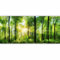 murando PREMIUM Fotomurales Bosque 550x250 cm XXL Papel de esquina Papel pintado tejido no tejido Decoración de Pared decorativos Murales moderna de Diseno Paisaje Panorama c-A-0058-a-b