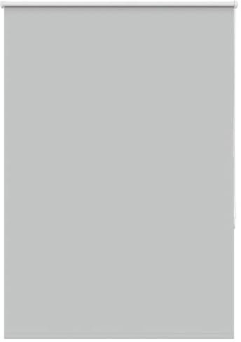 vidaXL Estor Enrollable Opaco Gris Claro 100x175 cm Tela Ancho 95,7 cm, Estor día y Noche, Estor de Cocina, Estor Opaco Enrollable, Estor Opaco