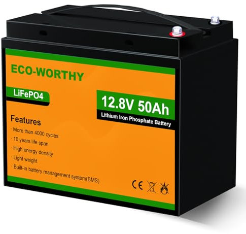 ECO-WORTHY 12V 50Ah Batteria LiFePO4 Litio Ferro Fosfato Ricaricabile con Oltre 3000 Volte Deep Cycle e Protezione BMS per Kit Pannello Solare, Scooter, Famiglia, Trolling Motor