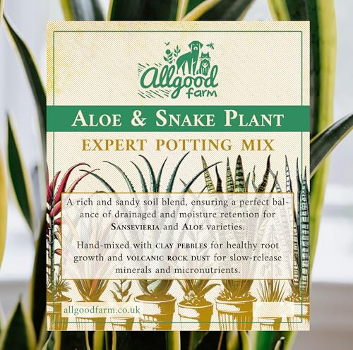 Allgood Farm Aloe & Snake Plant Soil - Expert Potting Soil Mix for Sansevieria, Aloe Vera, Mother-in-Law's Tongue (3 Litres)