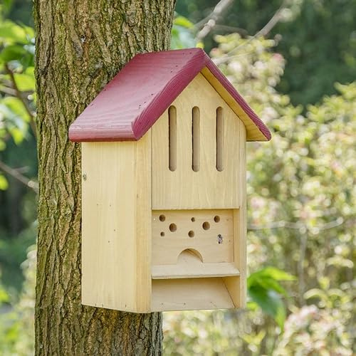 CJ Wildlife Insektenhotel – Wildbienenhotel, Bienenhotel, Insektenhaus – Holz FSC® 100% Rot – Schmetterlings- und Bienenhotel mit Reinigungsöffnung und Aufhängehaken
