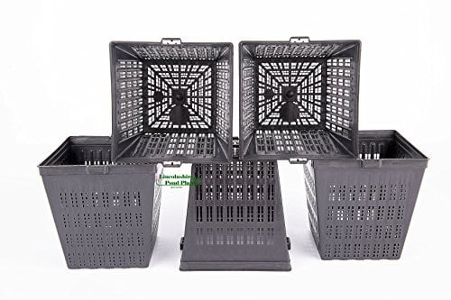 Lincolnshire Pond Plants Ltd 5 X 11cm new square plastic aquatic pots baskets for water plants and pond
