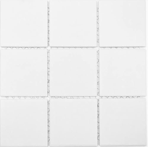 Mosaik Fliese Wand Boden Keramik Weiß Rutschsicher Rutschhemmend Duschtasse Bodenfliese Fliesenspiegel - MOS22-0102-R10