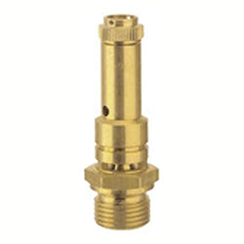 RIEGLER 156876-226.01-5,9 Sicherheitsventil DN 8, Messing, G 1/4, Ansprechdruck 5,9 bar, 1Stk