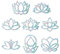 GORGECRAFT 16 STÜCKE Lotus-Fensteraufkleber Anti-Kollisions-Regenbogen-Fensteraufkleber Für Vögel Streik Blumenaufkleber Nicht Klebende Prismatische Vinylfolie Für Schiebetüren Fensterglas