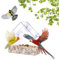 Acrylic Premium Window Bird Feeder, Transparent Outside Bird Feeder House with Strong Suction Cup for Outdoor Wildlife Little Birds