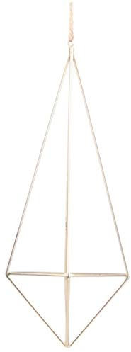 2019 Hot Air Bonsai Piante di scaffalature Metalliche Geometrica Hanging Tillandsia Ferro Giardinaggio Accessori a Decorazione Home Office: Plum:Seeds only