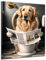 DARO Design - Bilder Deko Gäste WC Wandbild Badezimmer Bad Toilette Kunstdruck Bild auf 6mm HDF 50x70 cm Golden Retriever Wanddeko - lustige Wandbilder Leinwand Poster Aesthetic Room Decor Hund Dog