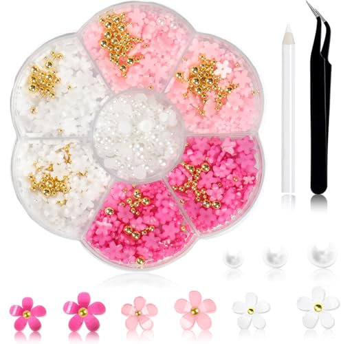 JEYORZY 1 Karton Nail Art Charms, 3D Blumen Nagelkunst Charms, Acryl Blumen Nagel Strass mit Ornamenten, Nagel Edelsteine, Nagel Zubehör für Mädchen, Nagelkunst Dekoration, DIY Handwerk Nail Design