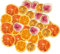 Zerodeko Décoration de Gâteau Tranches de Fruits Séchés Orange Citron et pour Création de et
