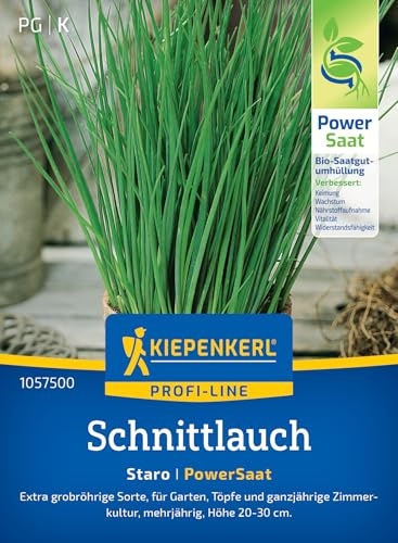 Kiepenkerl Schnittlauchsamen Staro 1057500, Kräutersaat | Kräutersamen für eine extra grobröhrige Sorte, Wuchshöhe 20-30 cm, aromatisch