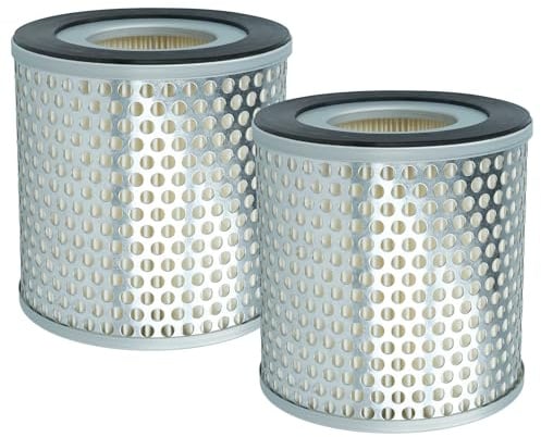 vhbw 2x Feinstaubfilter Ersatz für Freuding 46205 für Absauganlage - Feinstaub-Filterpatrone