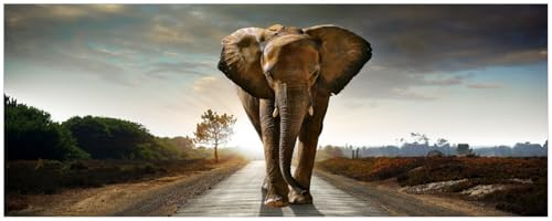 Wallario Küchenrückwand selbstklebend 115 x 50 cm, Motiv: Elefant bei Sonnenaufgang in Afrika | Spritzschutz abwischbar & pflegeleicht