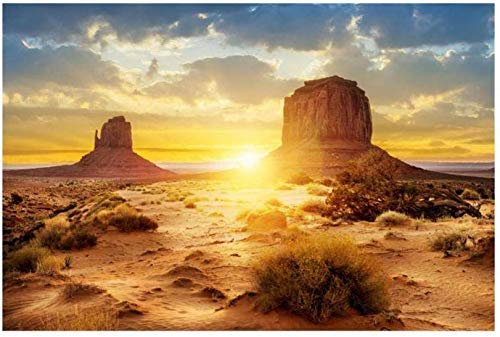 Aquarium Poster, Sonne und Wüste Stil Aquarium Terrarium Hintergrund Poster Verdicken PVC Klebstoff Statisch Haften Tapete Aufkleber Reptilien Lebensraum Hintergrund (91 * 41 cm)