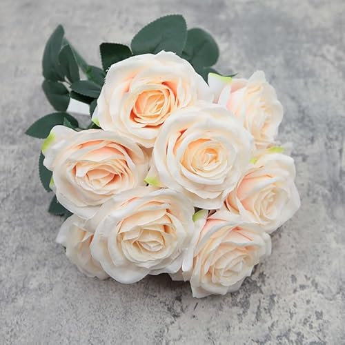 Namzi 10 Cream Rose Bushes 43cm Long. (Champagne Powder)