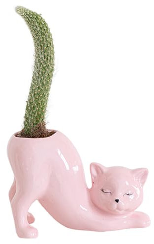 Mhihtts Cat Planter Pot, Cute Ceramics Cat Flower Pot, Cat Planters for Indoor Plants, Ceramic Cat Succulent Planter, Cat Gifts for Cat Lovers, Lovely Office Desk Room Home Decor (Pink)