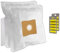 Set 10 Sacs Aspirateur + 10 Parfums + 1 Filtre pour PROLINE ASP185
