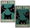 Lustige Badezimmer Wanddekoration, 2 Stück Katze Schild, Vintage Poster Blechschild, Badezimmer Wanddekoration, Schwarze Katze mit Englischem Text Are You Pooping?“ Schwarze Katze Logo (20x30cm)
