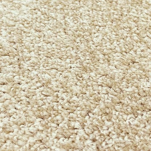 Tuda Carpets | Imperial 6.5mm Pile Budget Carpet with Felt Backing, 8.5mm Total Height | Honey Sand (71) - 4m x 4.5m (13ft1 x 14ft9)