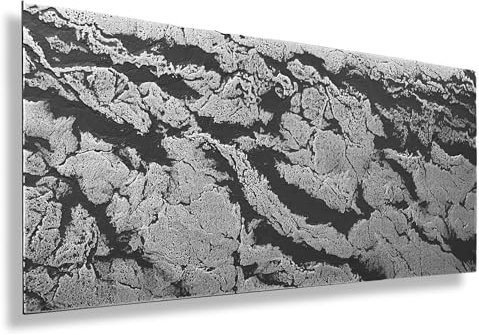 Lot de 40 panneaux en polysytrol XPS aspect pierre polystyrène - Panneaux muraux - Panneaux de plafond - Décoration murale - 100 x 50 cm - Épaisseur 3 mm - 20 m² - (1.Stone XL cz-sr)