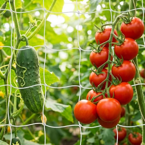 2 Redes para Pepinos 1.35x2.7m, Soporte Plantas Trepadoras | blanco, resistente red para plantas trepadoras, ideal para pepinos, tomates y verduras en jardines e invernaderos