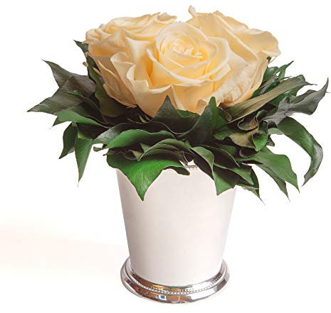 ROSEMARIE SCHULZ Heidelberg Infinity Blumen in silberfarbenen Becher 3 konservierte Rosen konserviert Blumenstrauß langhaltend (Beige, 3 Rosen)
