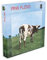 Zee Company Pink Floyd Jigsaw Puzzle Atom Heart Mother Nue offiziell 500 Piece
