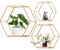 LMYDIDO 3er-Set Hexagon Wandregal Hängeregal, Metall und Holz Schweberegal Wandaufbewahrung Organizer für Küchenregal, Badezimmer, Schlafzimmer, Wanddekoration (Gold)