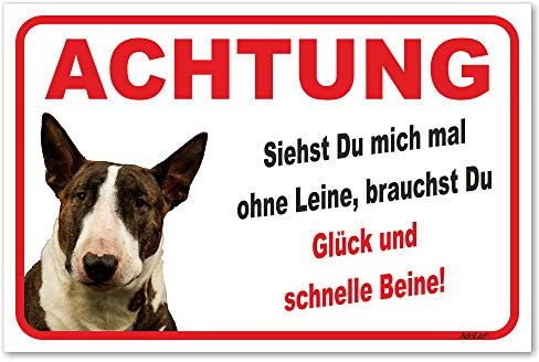 AdriLeo Schild - Vorsicht Bullterrier - Ohne Leine - (20x30cm) / Dunkelbraun/weiß - Achtung Hund Wachhund robust langlebig UV-beständig wetterfestes Warnschild