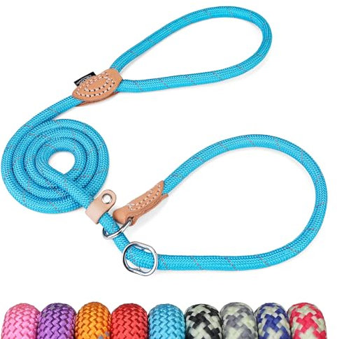 Grand Line Guinzaglio a Strozzo per Addestramento Cani, 150 cm Guinzaglio Retriever per Cani, Riflettente Guinzaglio Semistrozzo Cane di Taglia Piccola, Media, Grande (10mm, Blu)