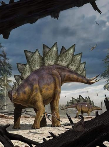 Komar Dino Vlies Fototapete - Stegosaurus - Größe: 184 x 248 cm (Breite x Höhe) - Dinosaurier, Dino, Jurrasic, Kinderzimmer, Tapete - XXL2-530 Bunt