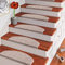 Snapstyle Natur Sisal Stufenmatte Halbrund Einfarbig, Größe/Ausführung/Menge:24x65 cm (halbrund) 1 Stck., Farbe:Kies